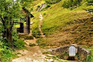 Тур Винний шлях Закарпаття: мінеральні джерела, Кваси